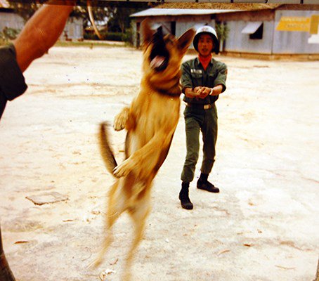 ARVN, Scout dog, training, south Vietnamese,canine, training