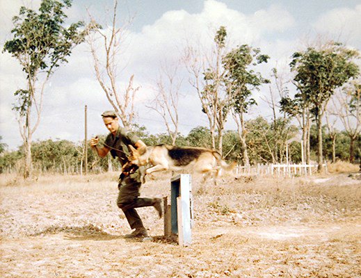 38th Scout Dog Platoon, 25th Infantry Division, handler, Cu Chi, training