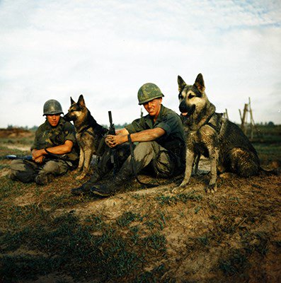 49th Scout Dog Platoon, sentry, handler, scout, dog, canine, Army, Operation Fairfax, 1967