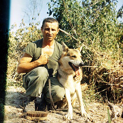 scout, 38th Scout Dog Platoon, 25th Infantry Division, handler, patrol, jungle