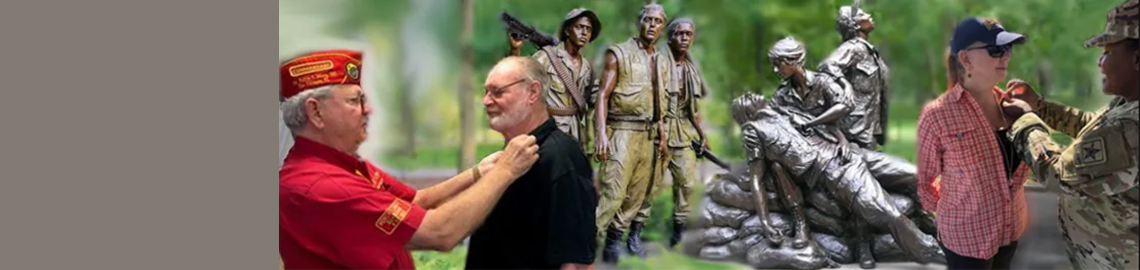 Two Vietnam veterans are pinned 