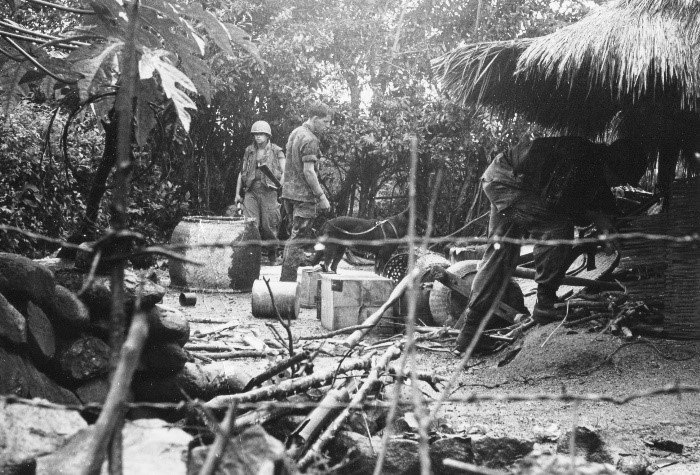 Marines of the 26th Marine Regiment search a villageon the Batangan Peninsula for signs of the Viet Cong, January 1969.