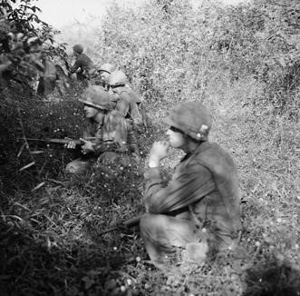 Members of the 5th Merchanized Infantry Regiment pause after hearing noises while sweeping through a rubber plantation searching for Việt Cộng forces in Operation CEDAR FALLS, January 1967. 