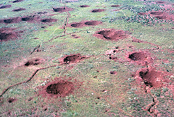 North Vietnamese Trenches