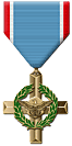 air force cross medal